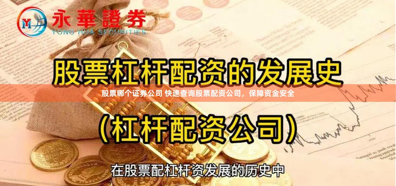 股票哪个证券公司 快速查询股票配资公司，保障资金安全